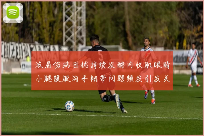 浓眉伤病困扰持续发酵内收肌眼睛小腿腹股沟手韧带问题频发引发关注