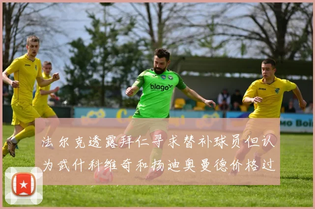 法尔克透露拜仁寻求替补球员但认为武什科维奇和扬迪奥曼德价格过高